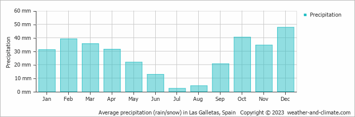 Average monthly rainfall, snow, precipitation in Las Galletas, Spain