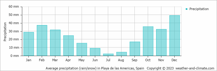 Average monthly rainfall, snow, precipitation in Playa de las Americas, Spain