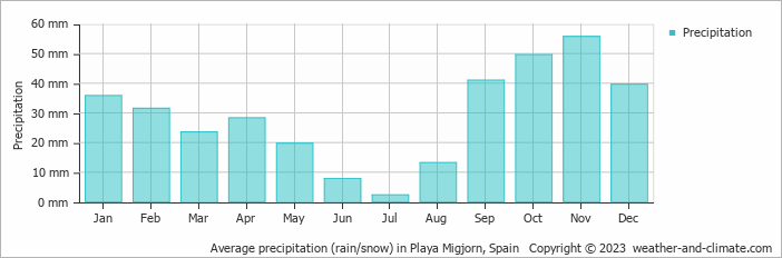 Average monthly rainfall, snow, precipitation in Playa Migjorn, 