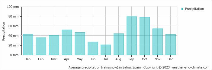 Average monthly rainfall, snow, precipitation in Salou, Spain
