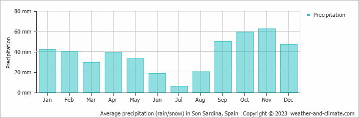 Average monthly rainfall, snow, precipitation in Son Sardina, Spain
