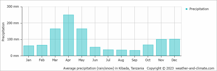 Average monthly rainfall, snow, precipitation in Kibada, Tanzania