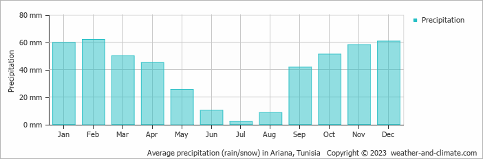 Average monthly rainfall, snow, precipitation in Ariana, Tunisia
