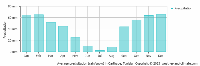 Average monthly rainfall, snow, precipitation in Carthage, Tunisia