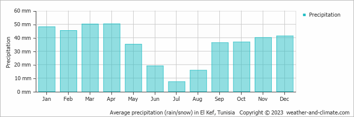 Average monthly rainfall, snow, precipitation in El Kef, Tunisia