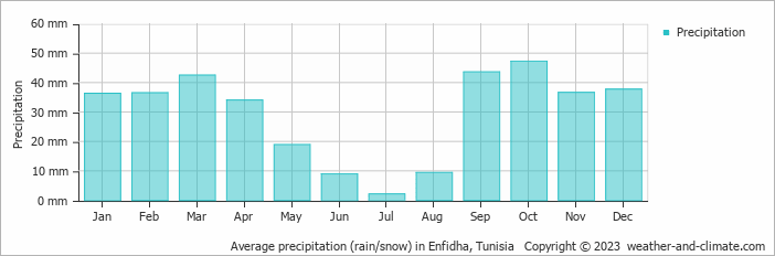 Average monthly rainfall, snow, precipitation in Enfidha, Tunisia