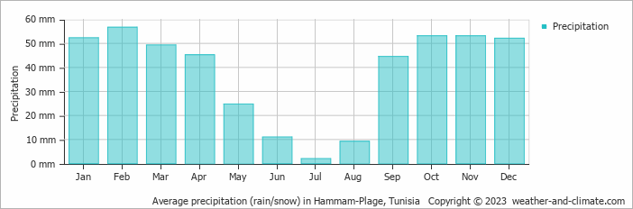 Average monthly rainfall, snow, precipitation in Hammam-Plage, Tunisia