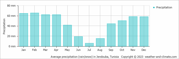 Average monthly rainfall, snow, precipitation in Jendouba, Tunisia