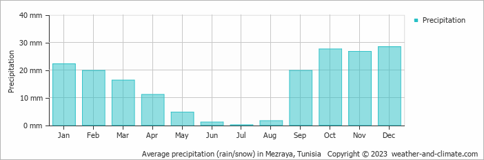 Average monthly rainfall, snow, precipitation in Mezraya, Tunisia