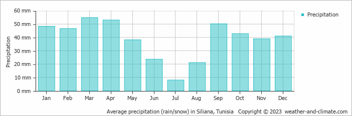Average monthly rainfall, snow, precipitation in Siliana, Tunisia