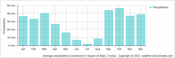 Average monthly rainfall, snow, precipitation in Souani el Adari, Tunisia
