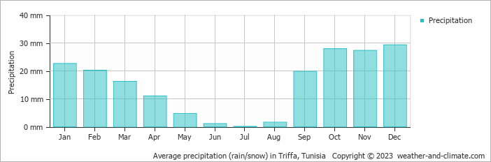 Average monthly rainfall, snow, precipitation in Triffa, Tunisia