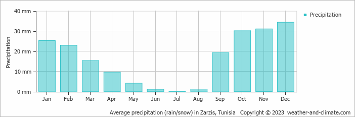Average monthly rainfall, snow, precipitation in Zarzis, Tunisia