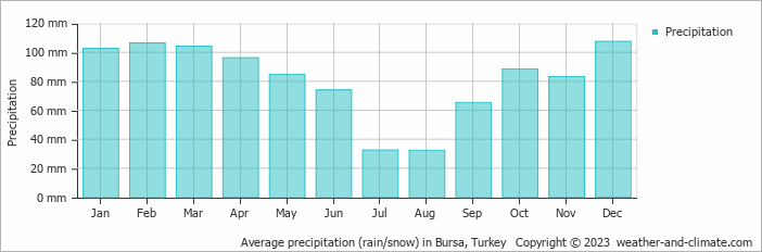 Average monthly rainfall, snow, precipitation in Bursa, Turkey