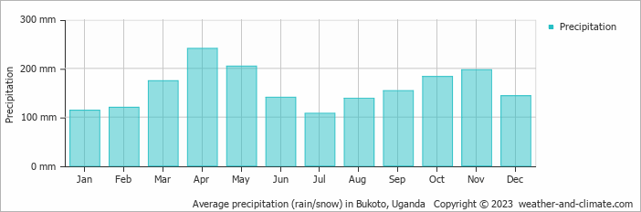 Average monthly rainfall, snow, precipitation in Bukoto, Uganda