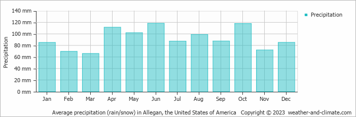Average monthly rainfall, snow, precipitation in Allegan, the United States of America