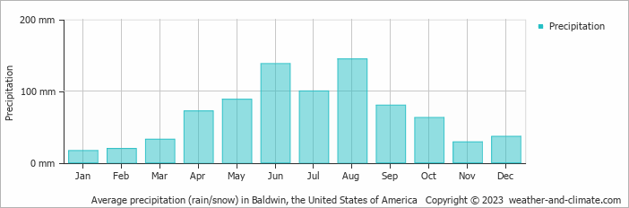 Average monthly rainfall, snow, precipitation in Baldwin, the United States of America