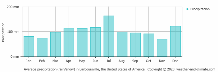 Average monthly rainfall, snow, precipitation in Barboursville, the United States of America