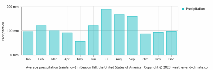 Average monthly rainfall, snow, precipitation in Beacon Hill, the United States of America