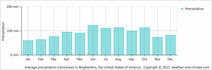 Average monthly rainfall, snow, precipitation in Binghamton, the United States of America