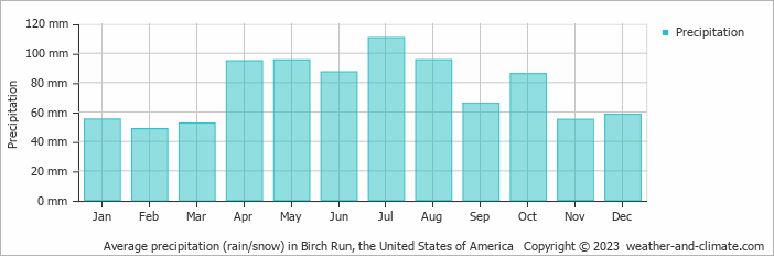 Average monthly rainfall, snow, precipitation in Birch Run, the United States of America