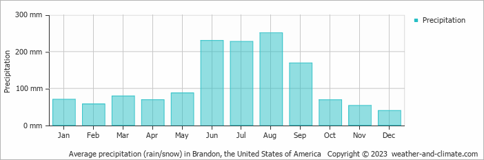 Average monthly rainfall, snow, precipitation in Brandon, the United States of America