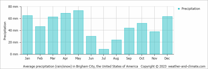 Average monthly rainfall, snow, precipitation in Brigham City, the United States of America