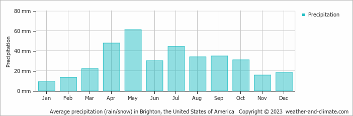 Average monthly rainfall, snow, precipitation in Brighton (CO), 