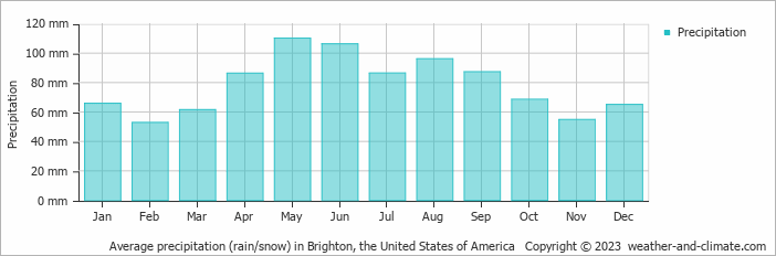 Average monthly rainfall, snow, precipitation in Brighton, the United States of America