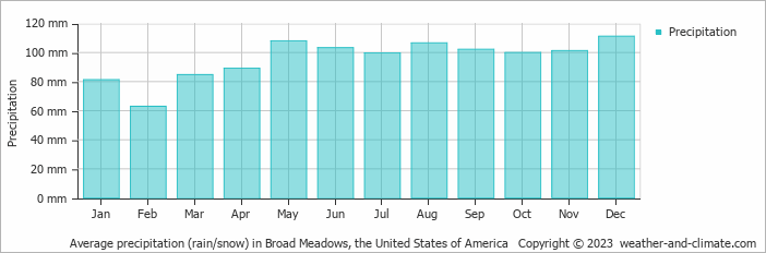 Average monthly rainfall, snow, precipitation in Broad Meadows, the United States of America