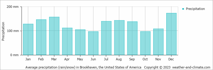Average monthly rainfall, snow, precipitation in Brookhaven, the United States of America