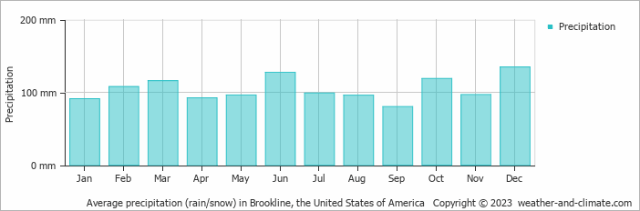 Average monthly rainfall, snow, precipitation in Brookline, the United States of America