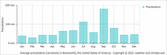 Average monthly rainfall, snow, precipitation in Brownsville, the United States of America