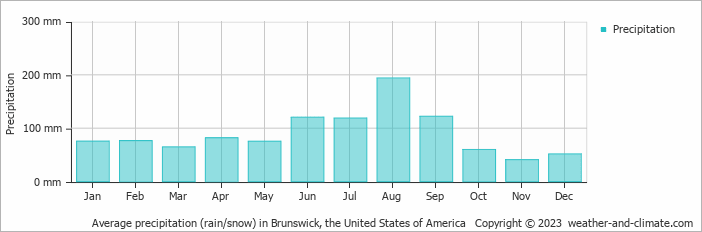 Average monthly rainfall, snow, precipitation in Brunswick, the United States of America