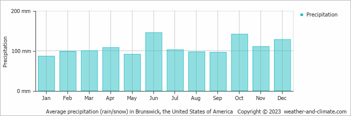 Average monthly rainfall, snow, precipitation in Brunswick, the United States of America