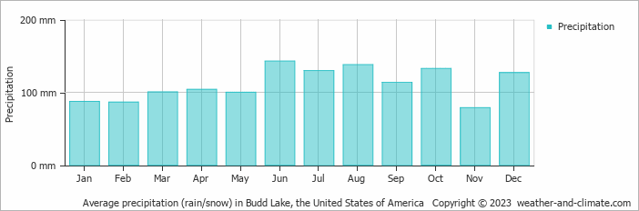 Average monthly rainfall, snow, precipitation in Budd Lake, the United States of America