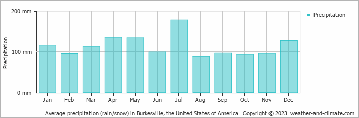 Average monthly rainfall, snow, precipitation in Burkesville, the United States of America