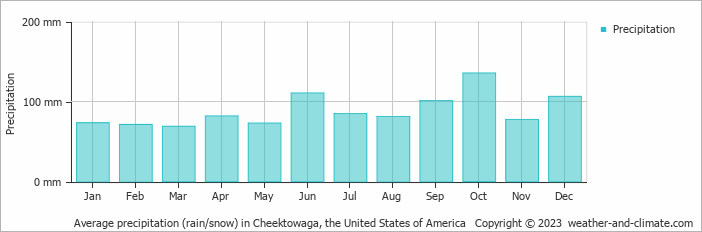 Average monthly rainfall, snow, precipitation in Cheektowaga, the United States of America