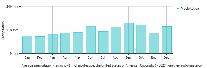 Average monthly rainfall, snow, precipitation in Chincoteague, the United States of America