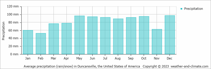 Average monthly rainfall, snow, precipitation in Duncansville, the United States of America