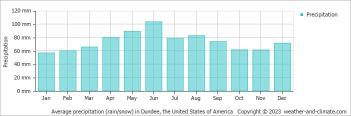 Average monthly rainfall, snow, precipitation in Dundee, the United States of America