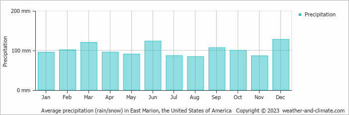 Average monthly rainfall, snow, precipitation in East Marion, the United States of America