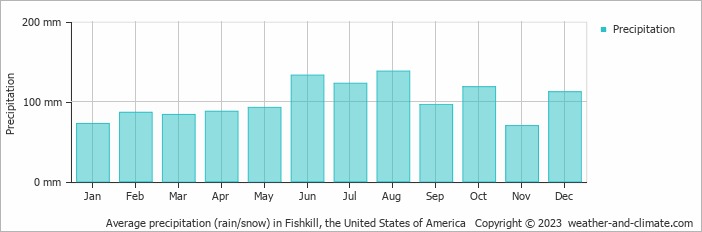Average monthly rainfall, snow, precipitation in Fishkill, the United States of America