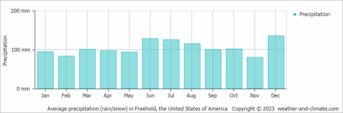 Average monthly rainfall, snow, precipitation in Freehold, the United States of America