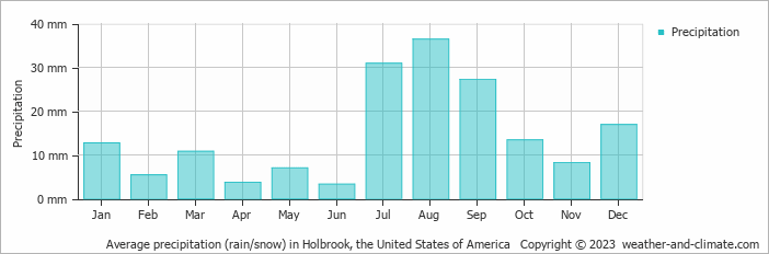 Average monthly rainfall, snow, precipitation in Holbrook, the United States of America
