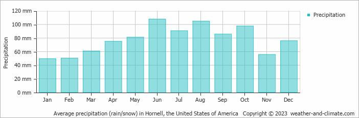 Average monthly rainfall, snow, precipitation in Hornell, the United States of America