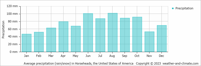 Average monthly rainfall, snow, precipitation in Horseheads, the United States of America