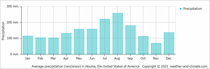 Average monthly rainfall, snow, precipitation in Houma, the United States of America