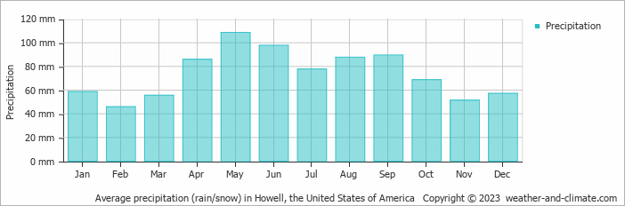 Average monthly rainfall, snow, precipitation in Howell, the United States of America