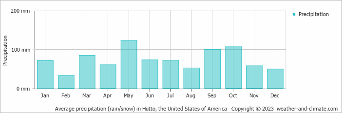Average monthly rainfall, snow, precipitation in Hutto, the United States of America
